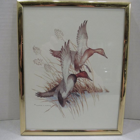 Charles E Murphy Other - Framed Art Print Flying Wild Mallard Ducks